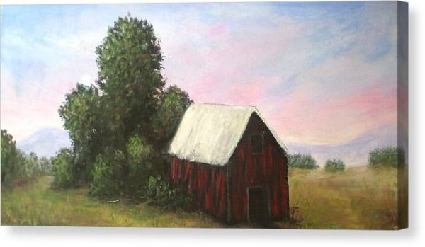 Barn Out Back  - Canvas Print For Discount