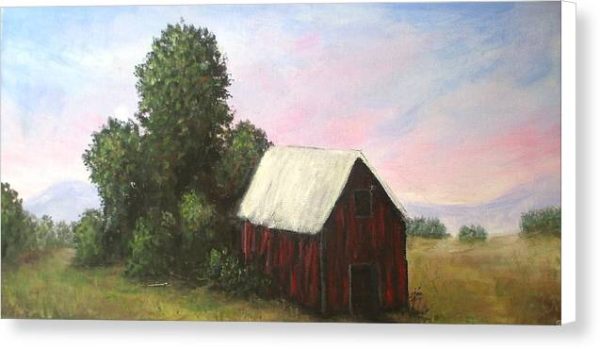 Barn Out Back  - Canvas Print For Discount