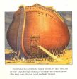 A Stowaway On Noah s Ark Oversized Padded Board Book Discount