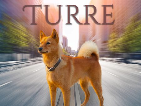 Turre Online now