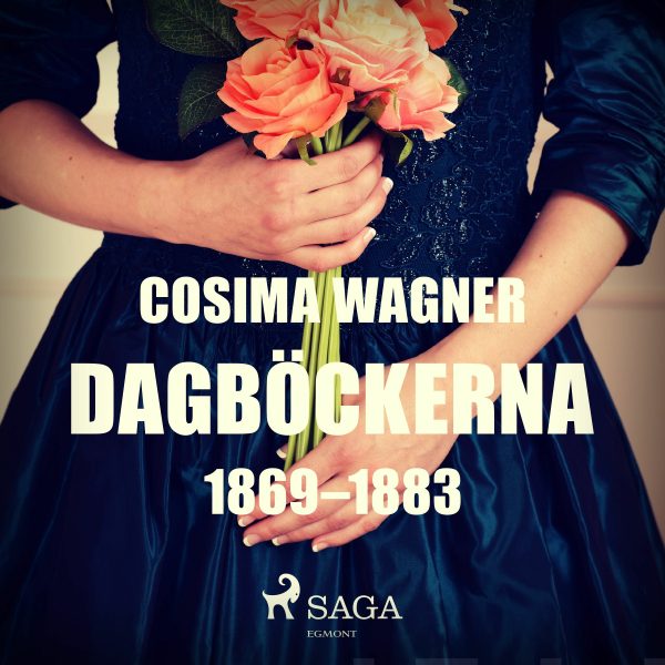 Dagböckerna 1869–1883 For Cheap