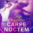 Carpe noctem - erotisk novell Online Hot Sale