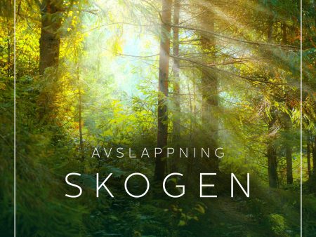 Avslappning - Skogen Fashion