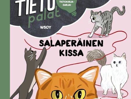 Tietopalat: Salaperäinen kissa Discount