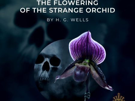 B. J. Harrison Reads The Flowering of the Strange Orchid on Sale